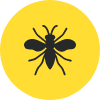 European Wasp Icon