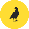 Pigeon Icon