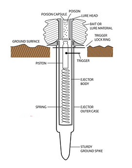 CPE Diagram