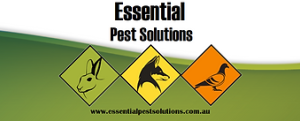 Essential Pest Solutions