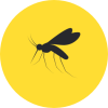Mosquito Icon Mosquito Icon