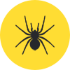 Spider Icon Spider Icon