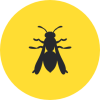 Wasp Icon Wasp Icon